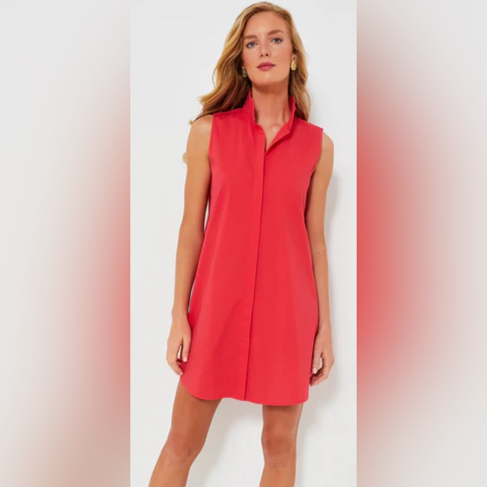 NWT Red Sleeveless Charlie Dress